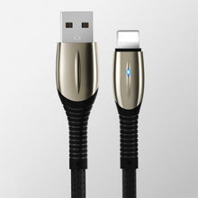 Load image into Gallery viewer, 1M Apple to USB A Durable cable USP

